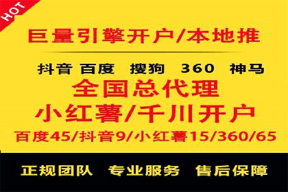 成功SEM服务案例分析报告